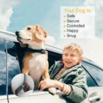 2-Pack: Multipurpose Pet Safety - Image 6