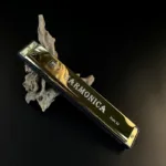 24 Hole Harmonica Mouth Metal Organ - Image 2