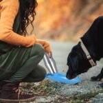 25oz Portable Dog Stainless Steel Water Dispenser Leak Proof Design - Image 16