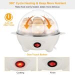 7 Capacity Electric Egg Cooker - Image 5