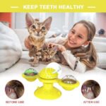 Cat Teases Interactive Pet Toy - Image 10