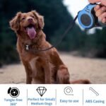 Durable Double Switch Retractable Pet Leash - Image 7