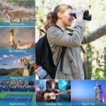 Portable HD Binoculars with Shoulder Strap Bag - Image 19