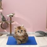 Pressure Activated Pet Gel Self Cooling Mat Pad - Image 2