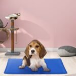 Pressure Activated Pet Gel Self Cooling Mat Pad - Image 6