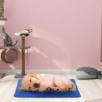 Pressure Activated Pet Gel Self Cooling Mat Pad - Image 4