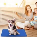 Pressure Activated Pet Gel Self Cooling Mat Pad - Image 5