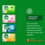 15-Pack: Dettol Anti-Bacterial Hand and Body Soap Assorted Flavors - Image 4