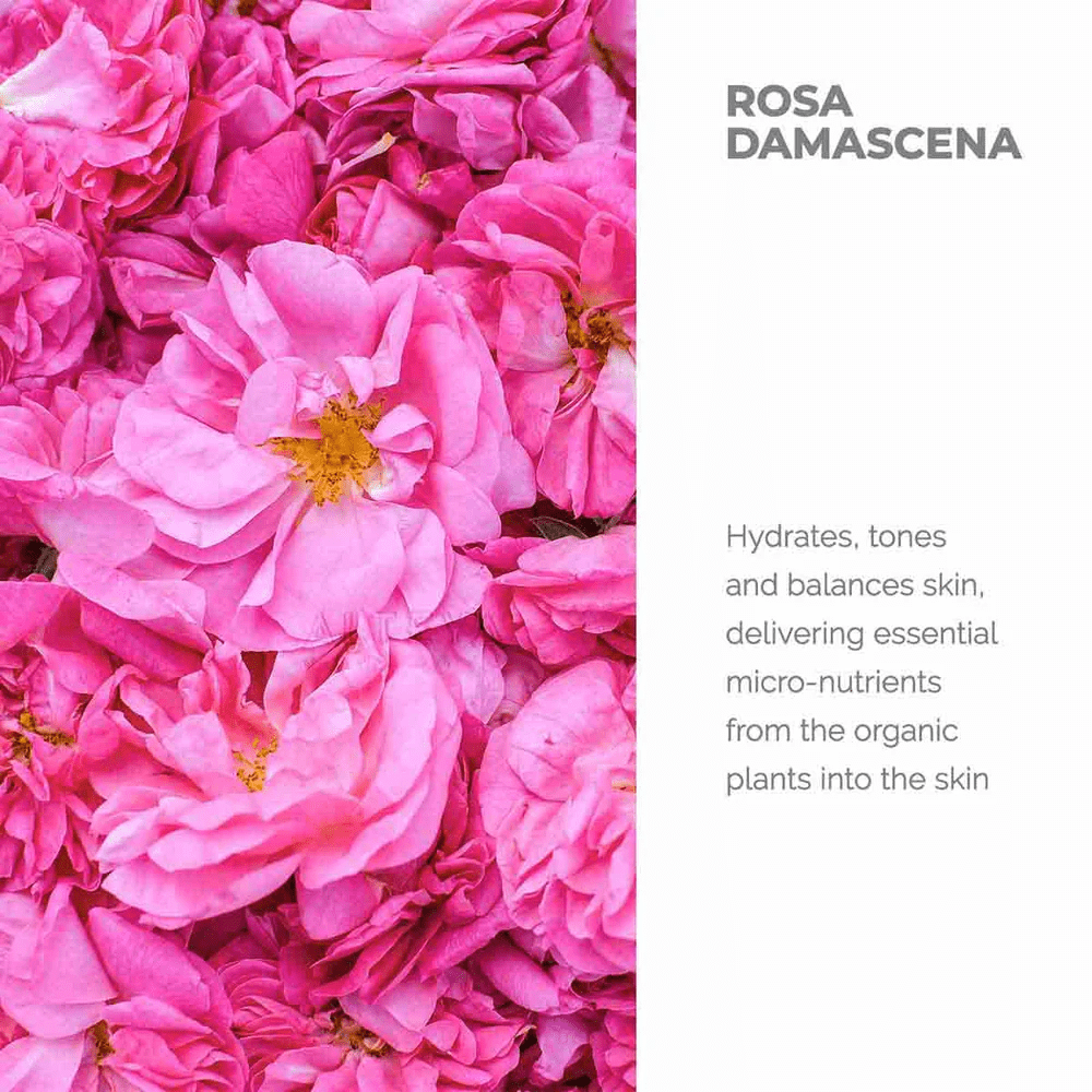 Bulgarian Organic Rose Water Glass Spray – Hydrating Face Mist - Image 5